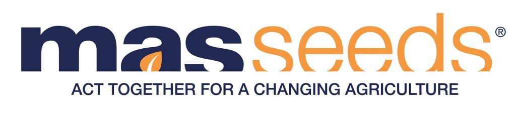 Mas seeds